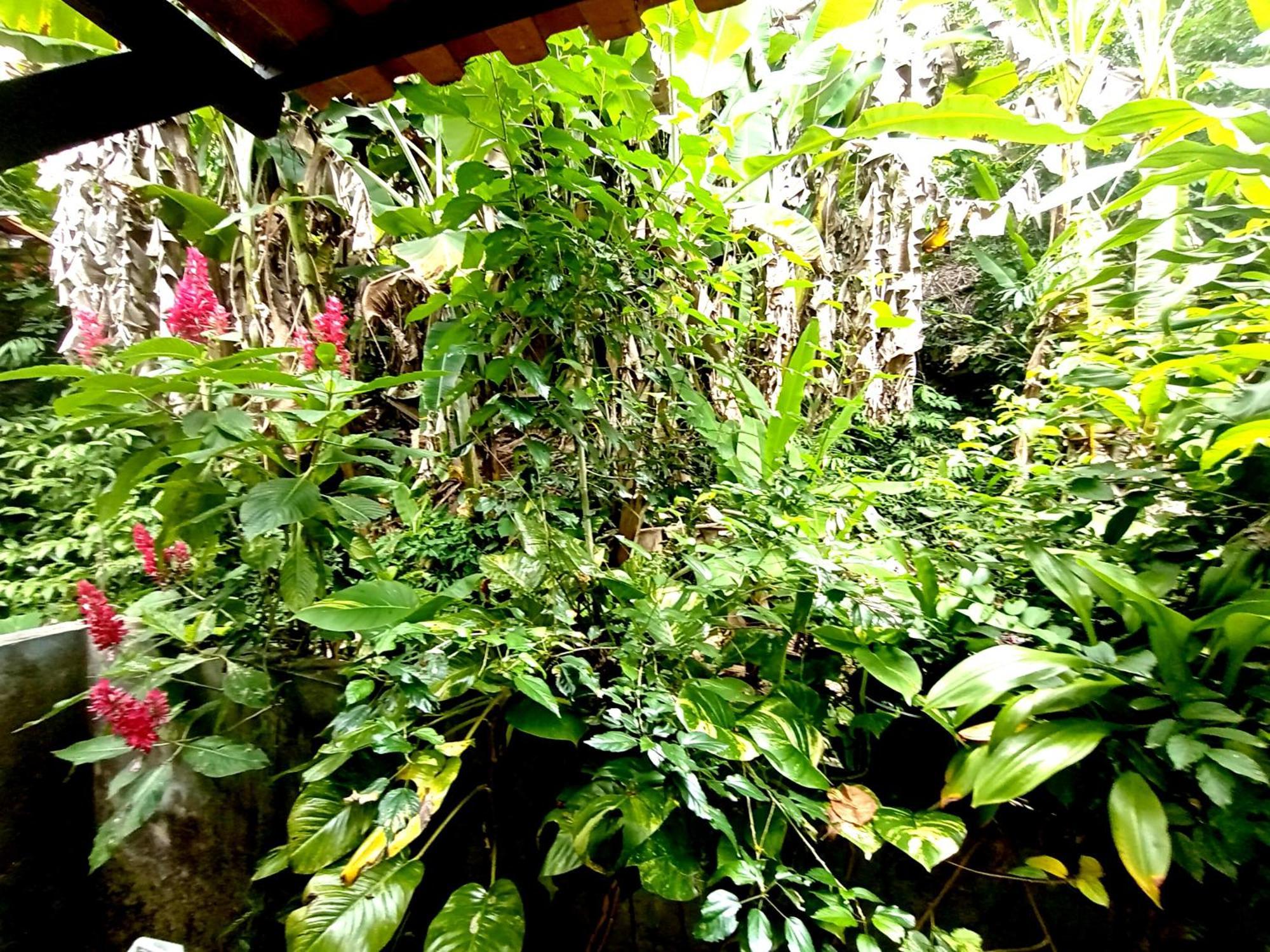 Pousada Lagoa Flat 모로데상파울루 외부 사진